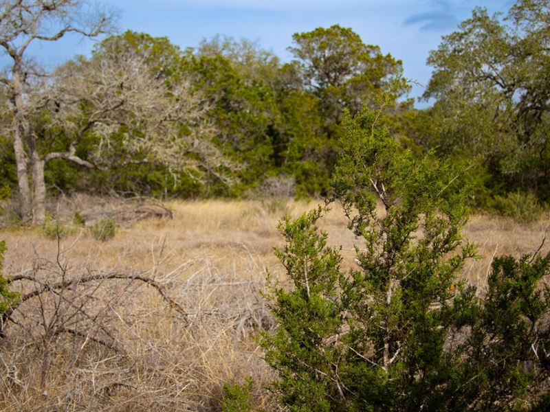 Beautiful 1.6 Acres with Utilities : Spring Branch : Comal County : Texas