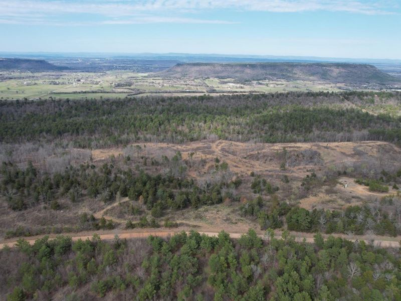 Wildcat Mtn Rd. 80 : Paris : Logan County : Arkansas