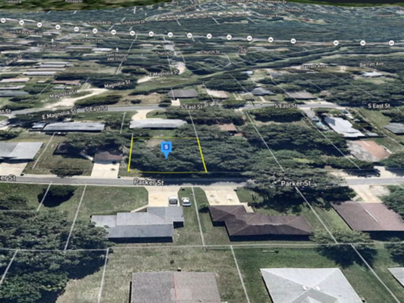 Build Your Dream Home on This Lake : Leesburg : Lake County : Florida