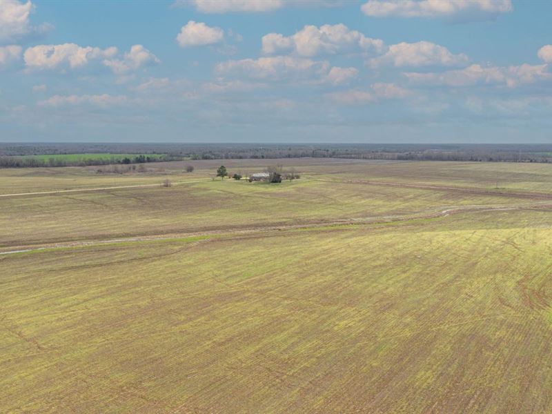1,160 Acres in Marion, Alabama : Marion : Perry County : Alabama