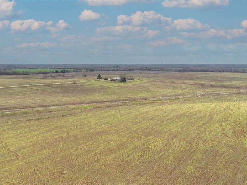 1,160 Acres in Marion, Alabama : Marion : Perry County : Alabama