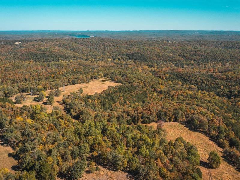 Gunnison Ranch & Hunt Tract 5 : Kirbyville : Taney County : Missouri