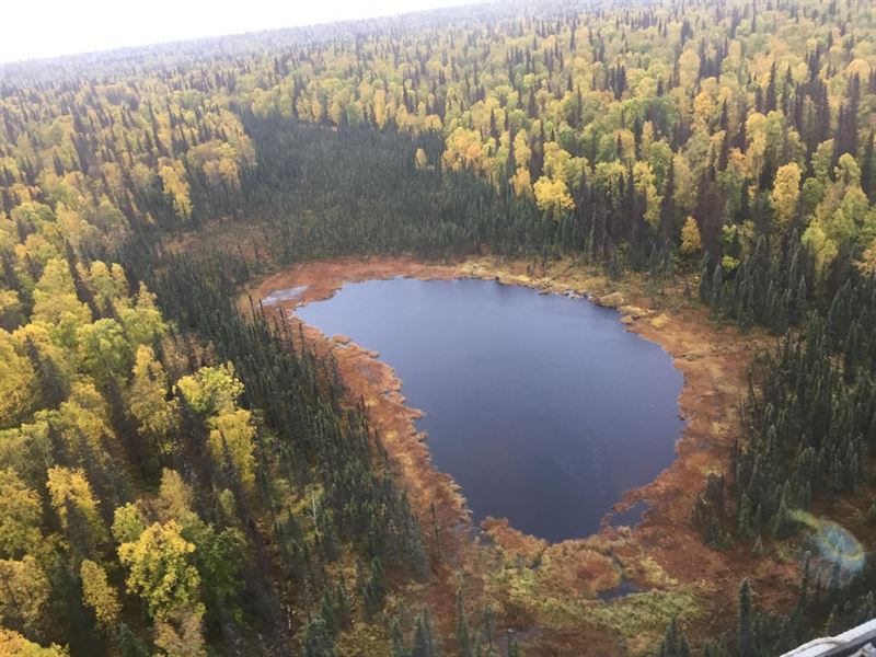 Remote Hunting Land : Skwentna : Matanuska-Susitna Borough : Alaska