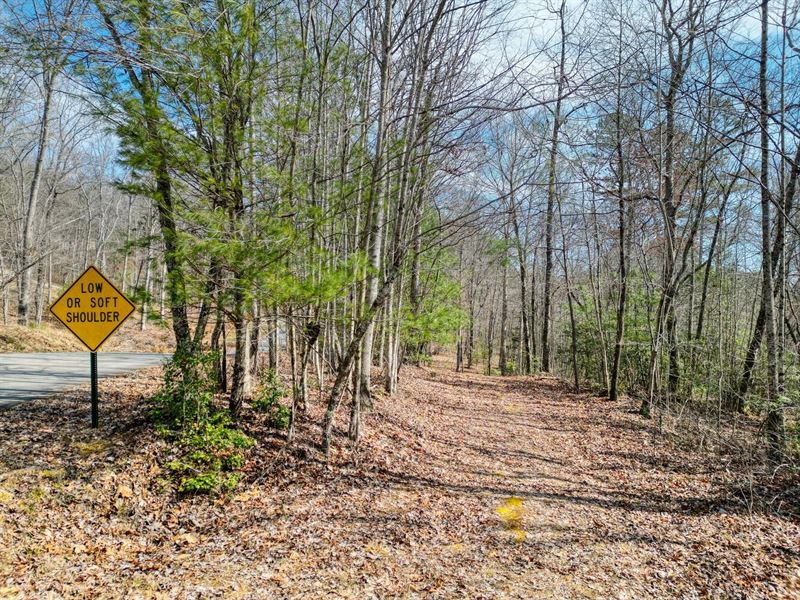 Unrestricted Land in Blue Ridge, GA : Blue Ridge : Fannin County : Georgia