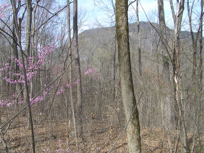 Miles of Views, Woods, Homesites : Dunlap : Sequatchie County : Tennessee