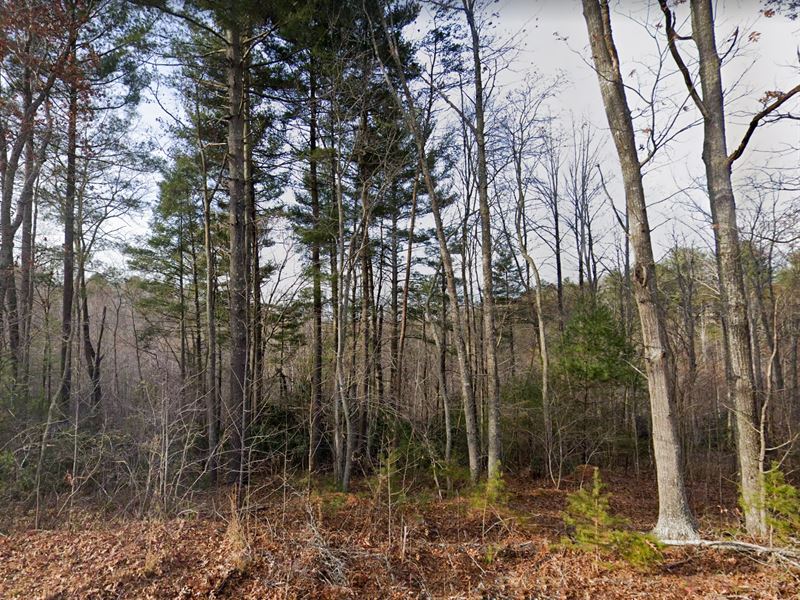 Secluded, Multiple Homes Allowed : Ferrum : Franklin County : Virginia