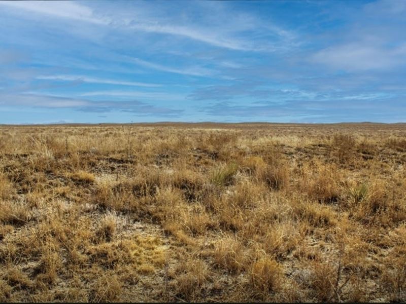 No Site Address, Las Animas, Co 8 : Las Animas : Bent County : Colorado