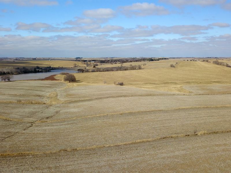 240 Acres in Fairbury, Nebraska : Fairbury : Jefferson County : Nebraska