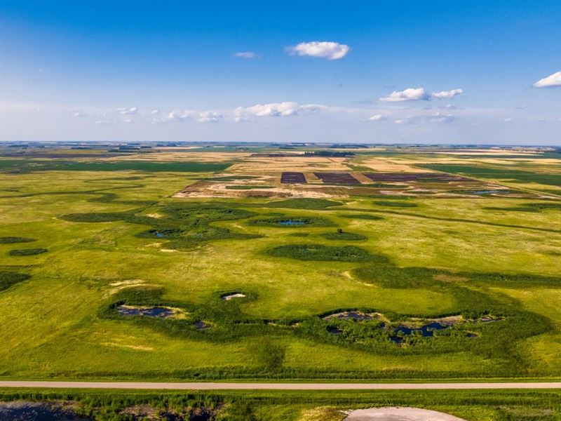 Aneta Land with Income : Aneta : Nelson County : North Dakota