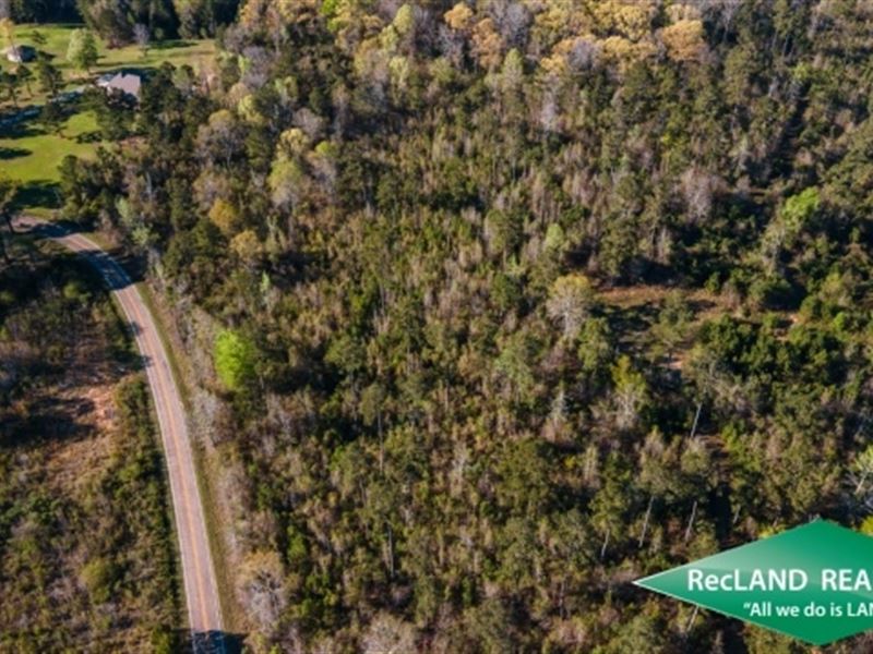 42 Ac, Wooded Tract for Residentia : Calhoun : Ouachita Parish : Louisiana
