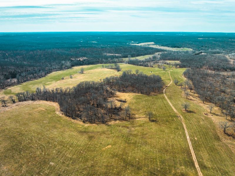 356 Acre Highway Frontage Farm : Edwards : Benton County : Missouri