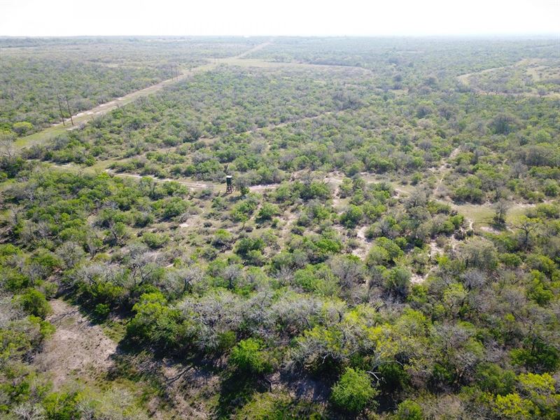 Tordia Hills Ranch : Falls City : Wilson County : Texas