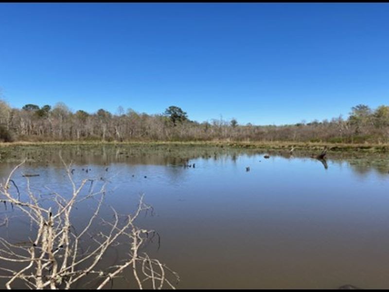 76 Acres in Monroe County in Aberde : Aberdeen : Monroe County : Mississippi