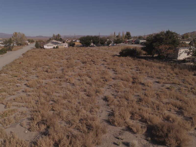 Settling Down in Yerington, NV : Yerington : Lyon County : Nevada
