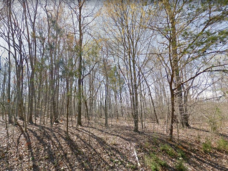 Near Smith Mountain Lake : Hardy : Franklin County : Virginia