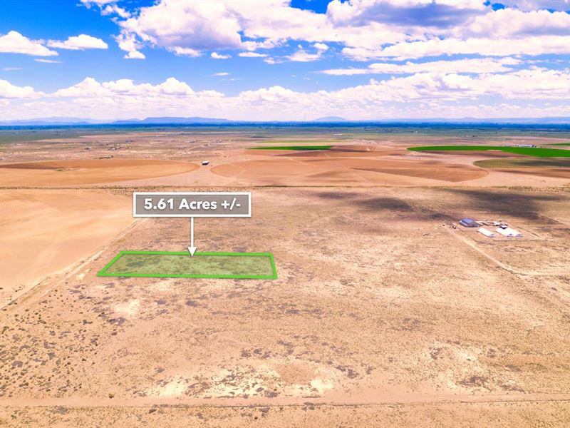 Mountain Views Near National Forest : Alamosa : Alamosa County : Colorado