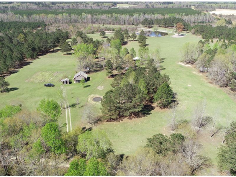 25 Acres Fenced, with Home and More : Sardis : Burke County : Georgia