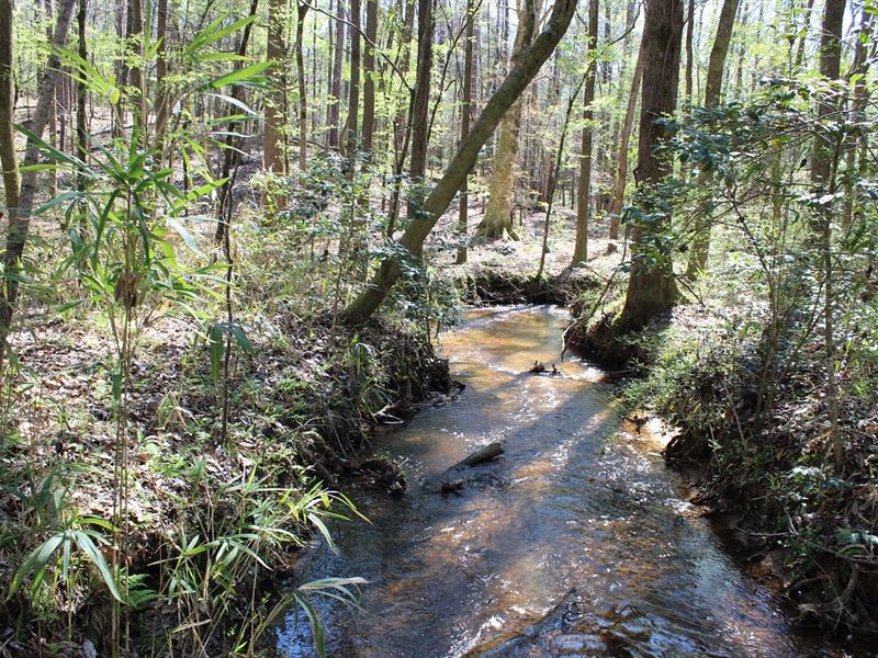 All Around Property Near Auburn : Tuskegee : Macon County : Alabama