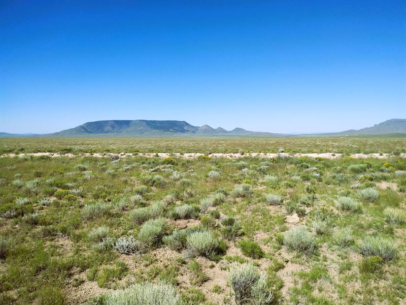 5 Acre with Boundless Potential : San Luis : Costilla County : Colorado