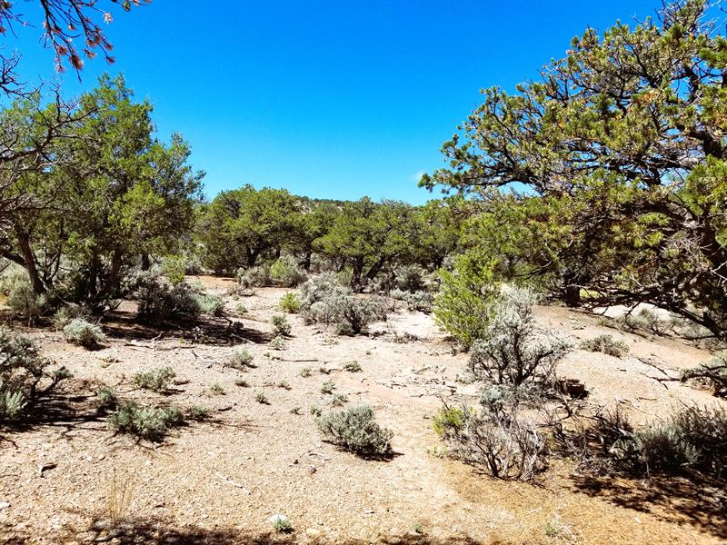Nature Meets Adventure : Blanca : Costilla County : Colorado