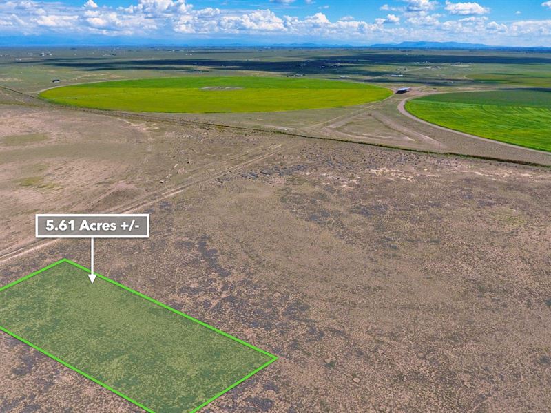 5.61 Acre Ranch with Mountain Views : Alamosa : Alamosa County : Colorado