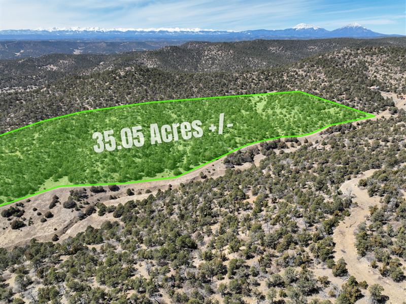 35.05 Acres in Picketwire Ranch, Land for Sale by Owner in Colorado