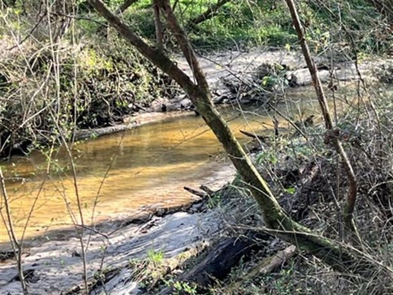 17+/- Acres for Your Dream Home : Dothan : Houston County : Alabama