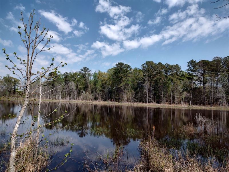 Hunters Crossroads 25.5 AC : Columbia : Houston County : Alabama