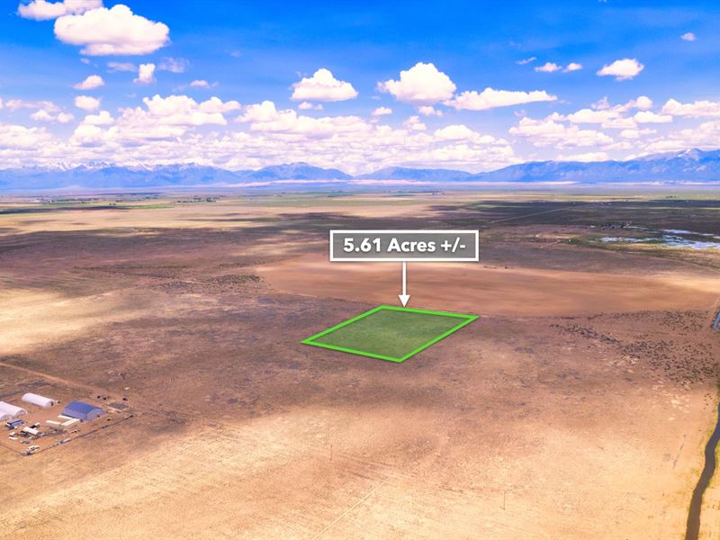 Mountain Views Near National Forest : Alamosa : Alamosa County : Colorado