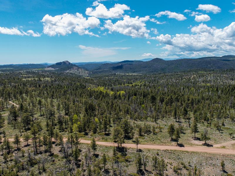 Fish Creek Ranch Homestead : Tie : Albany County : Wyoming