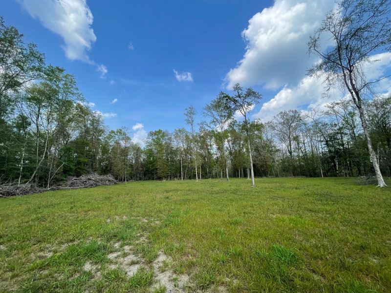 60 Acres in Greene County in McLain : McLain : Greene County : Mississippi