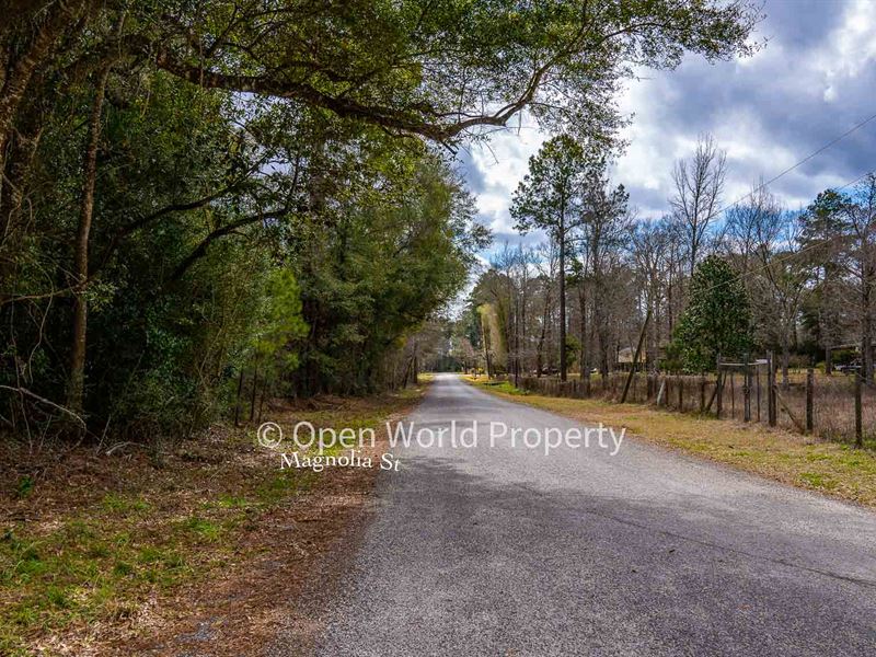 Double Lot Near Splendora : Splendora : Liberty County : Texas