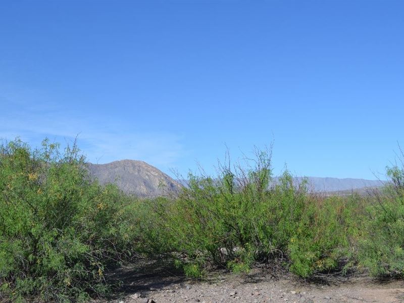 Owner Finance Land in Marfa, TX : Marfa : Presidio County : Texas
