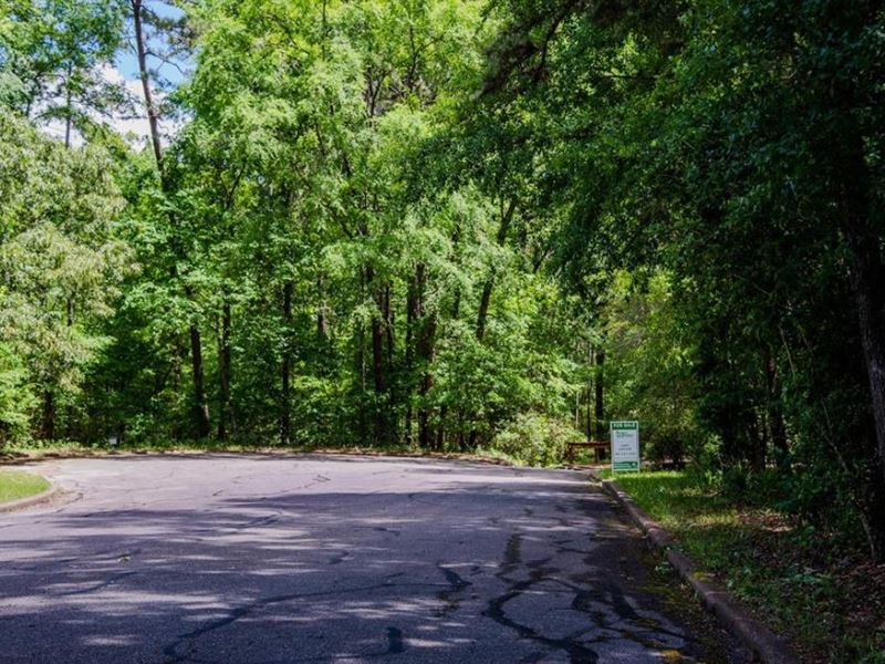 Lot Minutes From Trinity River : Huntsville : San Jacinto County : Texas