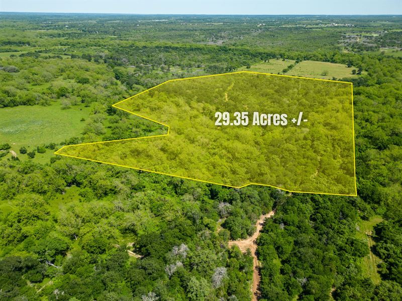 29.35 Wooded Acres, Bastrop County : Red Rock : Bastrop County : Texas