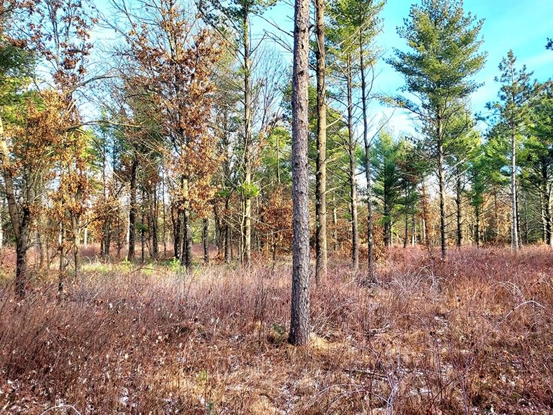 3 Acres North of Crivitz, WI : Beecher : Marinette County : Wisconsin