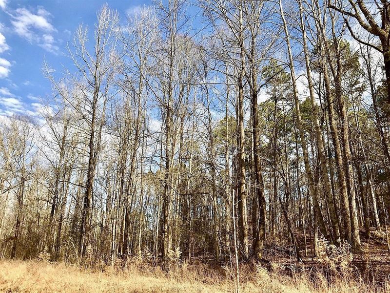 Beautiful Building Lot, Utilities : Saulsbury : Hardeman County : Tennessee