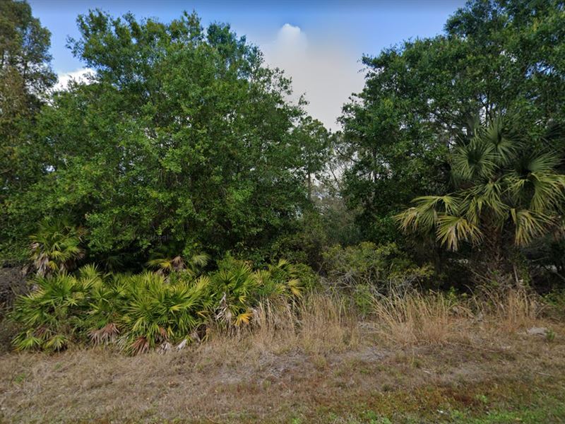Start Living Life on 0.29 Acres : Punta Gorda : Charlotte County : Florida