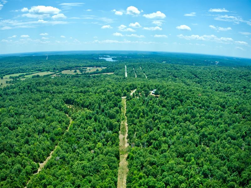 2 Adjacent Lots Near 3 Lakes : Horseshoe Bend : Izard County : Arkansas
