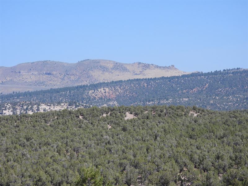 Little Mountain Deep Creek Ranch : Lapoint : Uintah County : Utah