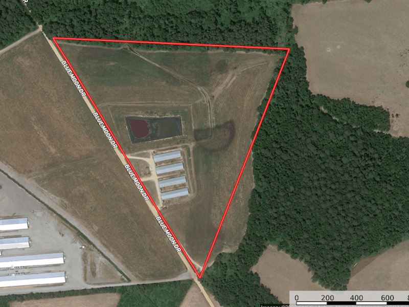 26 Acre Commercial Swine Operation : Hamer : Dillon County : South Carolina