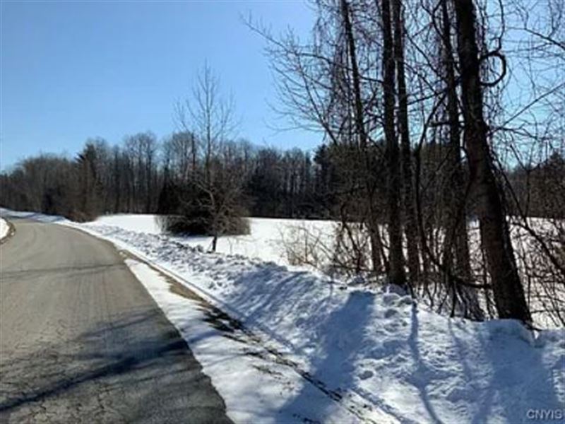 50 Acre Hunting Land : Saint Johnsville : Fulton County : New York