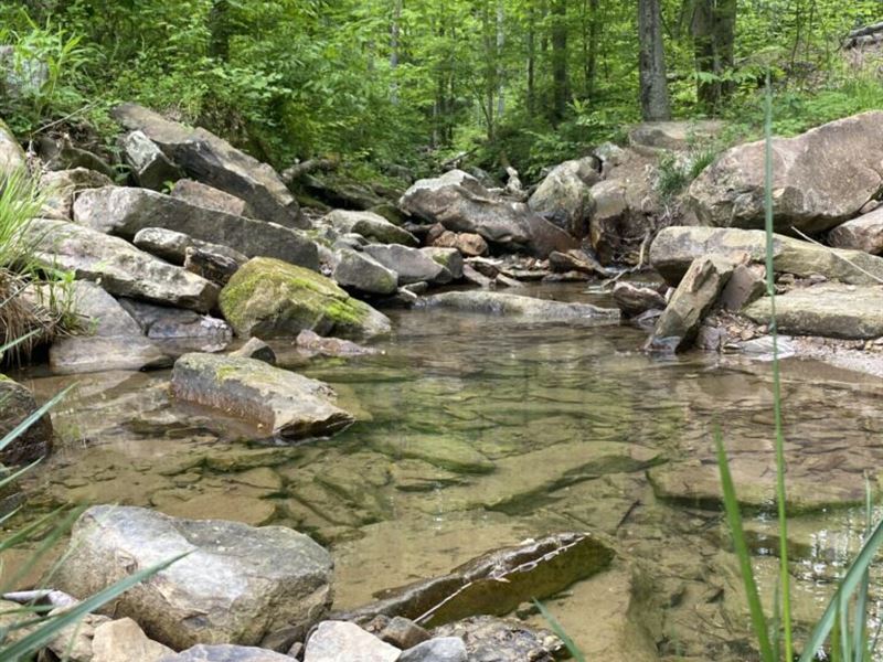 Off Grid Land with Creek & Cave : Somerset : Pulaski County : Kentucky