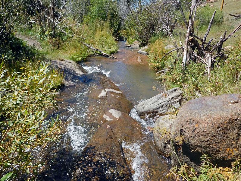 Trout Fishing : Cripple Creek : Teller County : Colorado