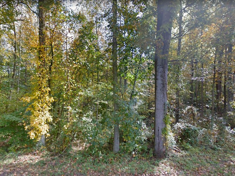 Peaceful Countryside Lot : Caret : Essex County : Virginia