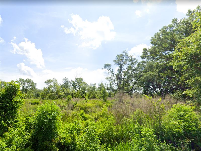 Private Lot in Paradise : Greenville : Madison County : Florida