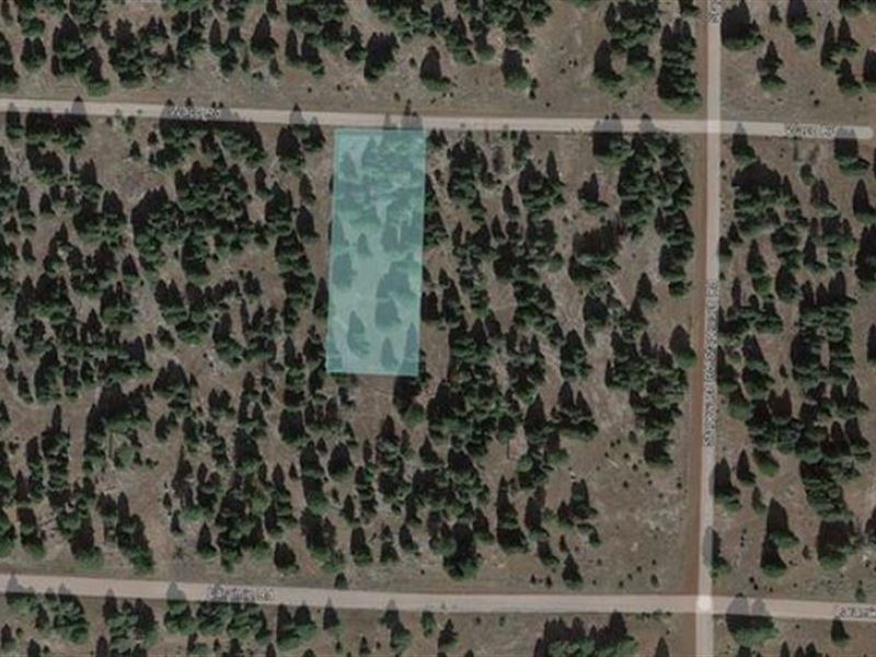 Discover The Unexplored Territories : Alturas : Modoc County : California