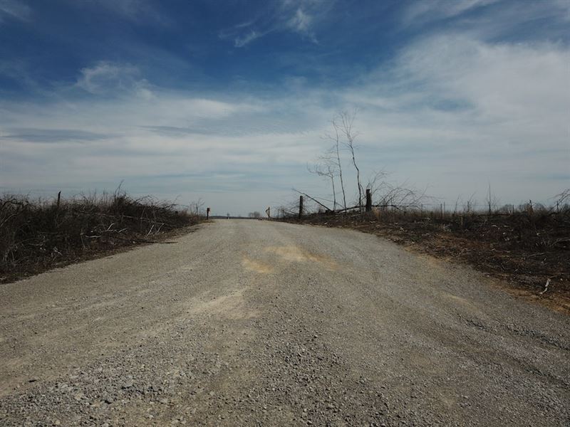 1104 Witt Creek : Deer Lodge : Anderson County : Tennessee
