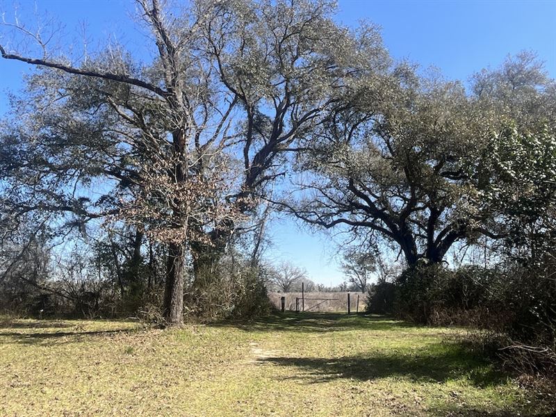 189.60 Acres in Cottondale, Florida : Cottondale : Jackson County : Florida