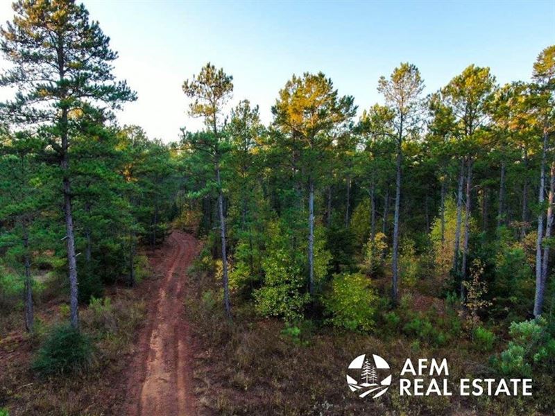 Harris Woods : Neches : Anderson County : Texas